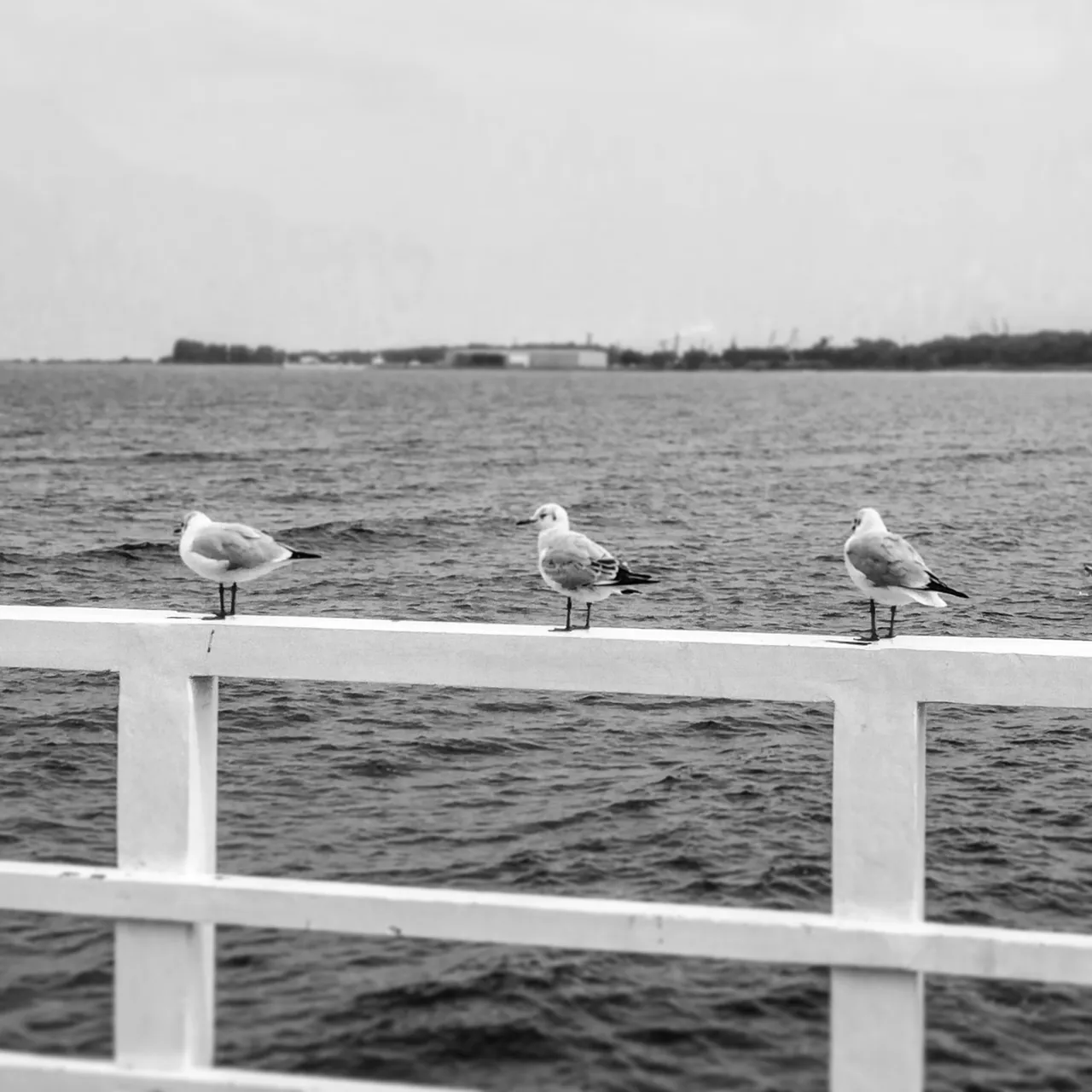 IMG_20190910_004853_596.jpg