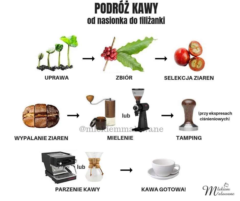 Podróż kawy.png