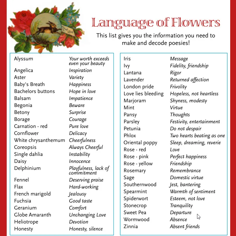 language of flowers.jpg