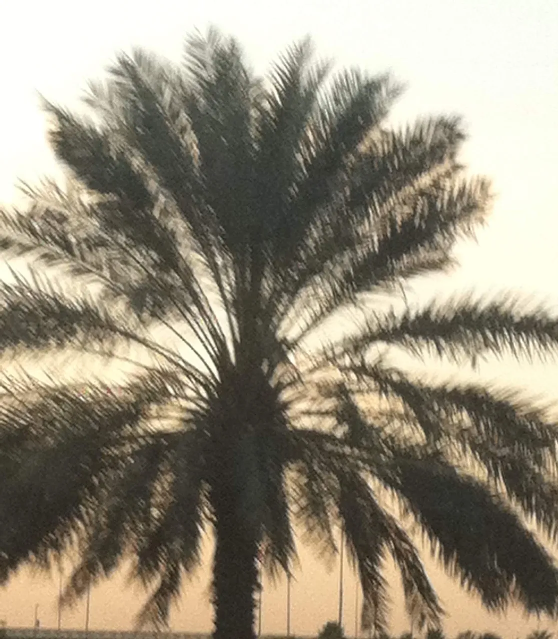 1544983213254_photo 5.JPG