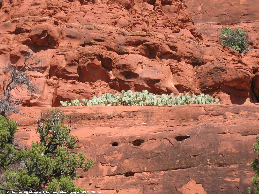 RedRocksAndCacti-090718.jpg