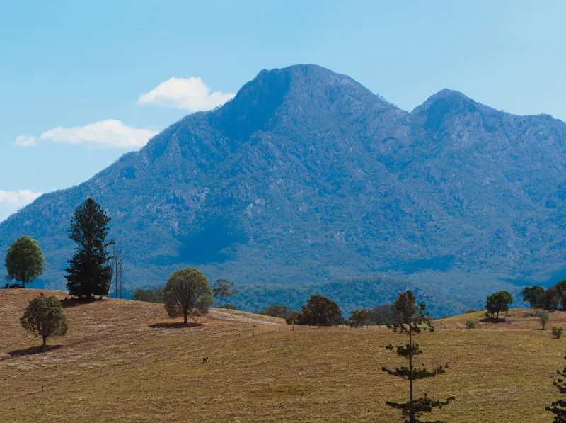 2-mt-barney-close-800px.jpg