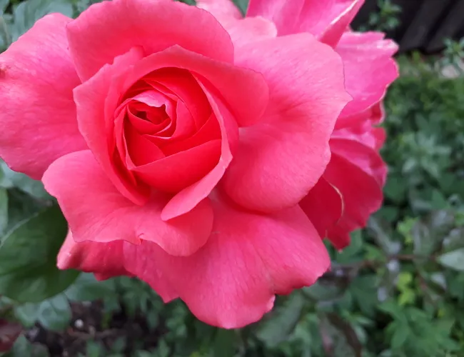ezgif.com-resize (91).jpg