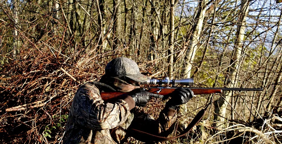 hunting-3781222_960_720.jpg