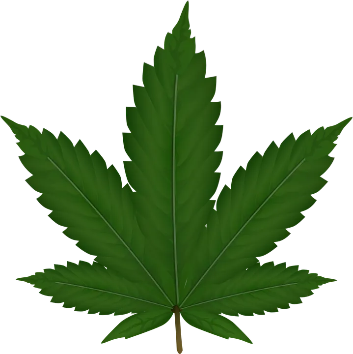 cannabis-306291_960_720.png