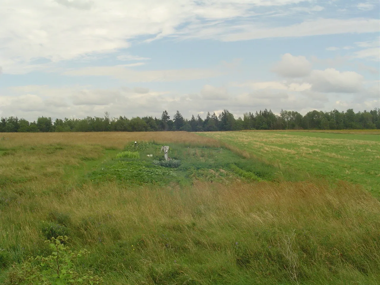1. The Big Garden.jpg