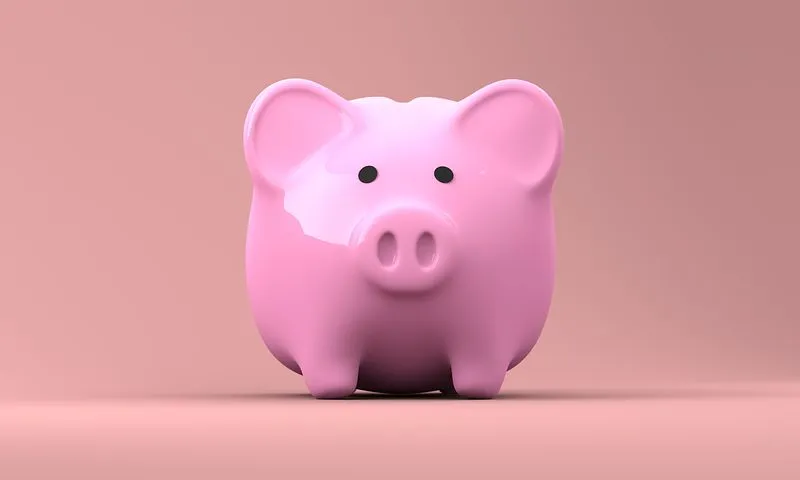 piggy-bank-2889042__480.jpg