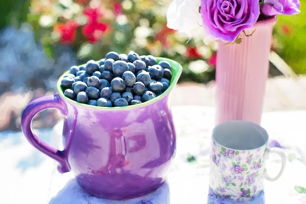 blueberries-864628_1920.jpg