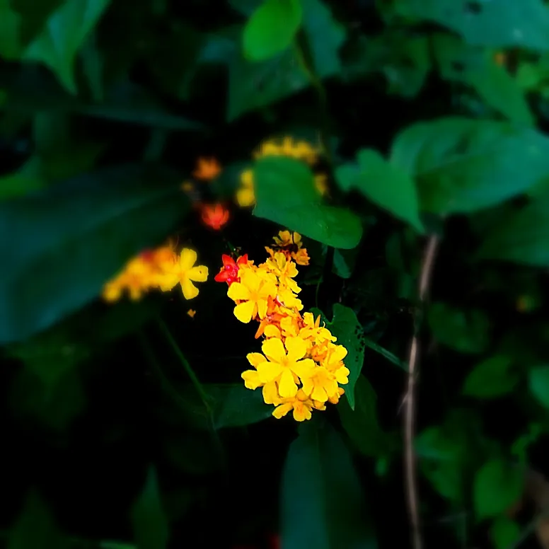 IMG_20220430_181016_164.jpg