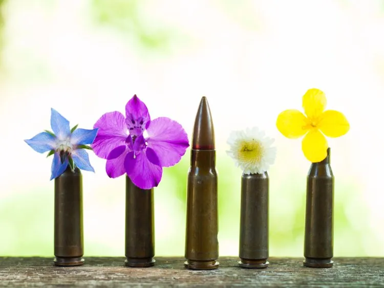 Biodegradable bullets.jpg