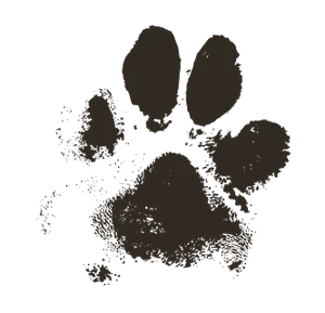 dog-paw-2263833_960_720.png