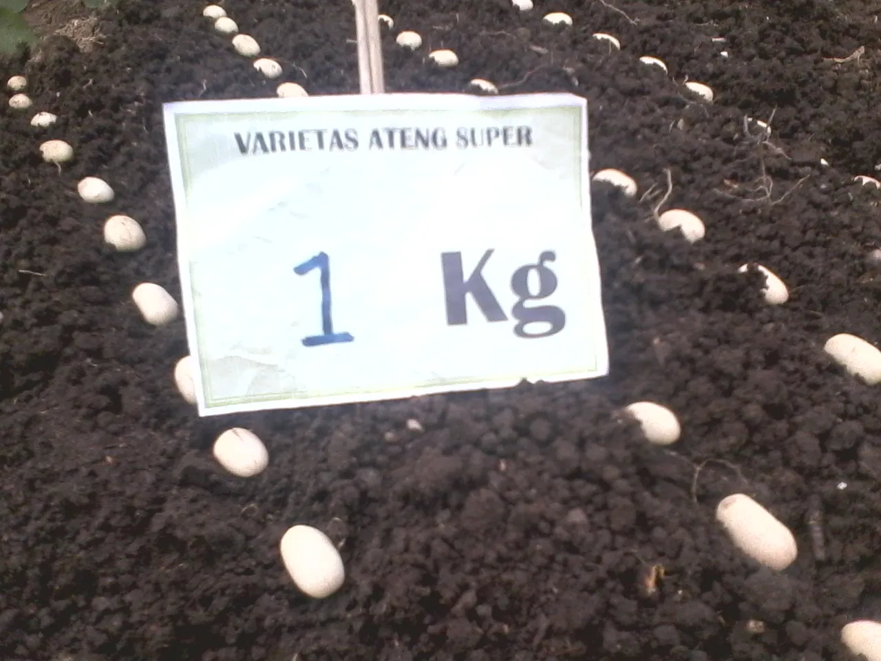 Ateng Super Nursery.jpg