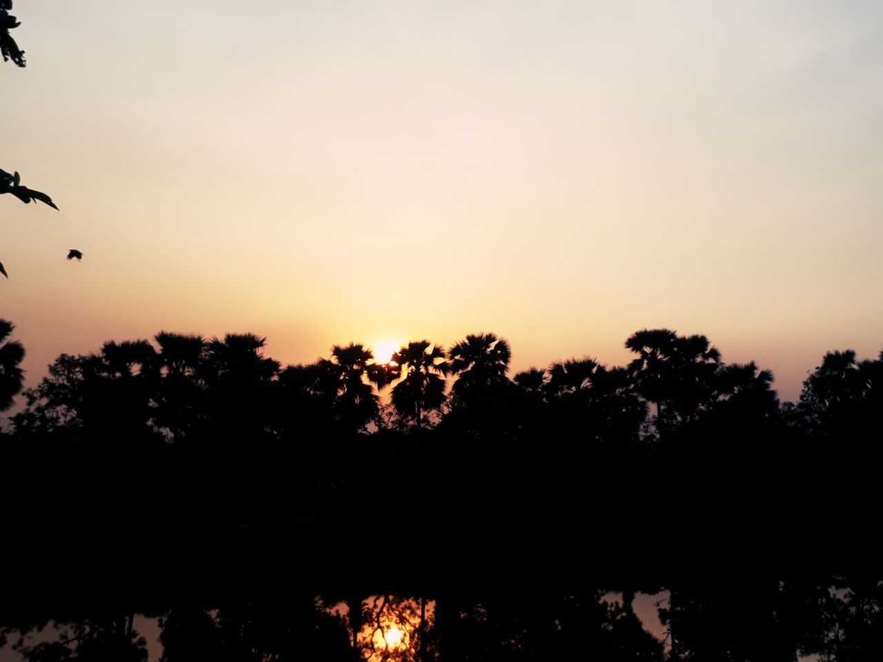 2018-05-29-18-02-09-590.jpg