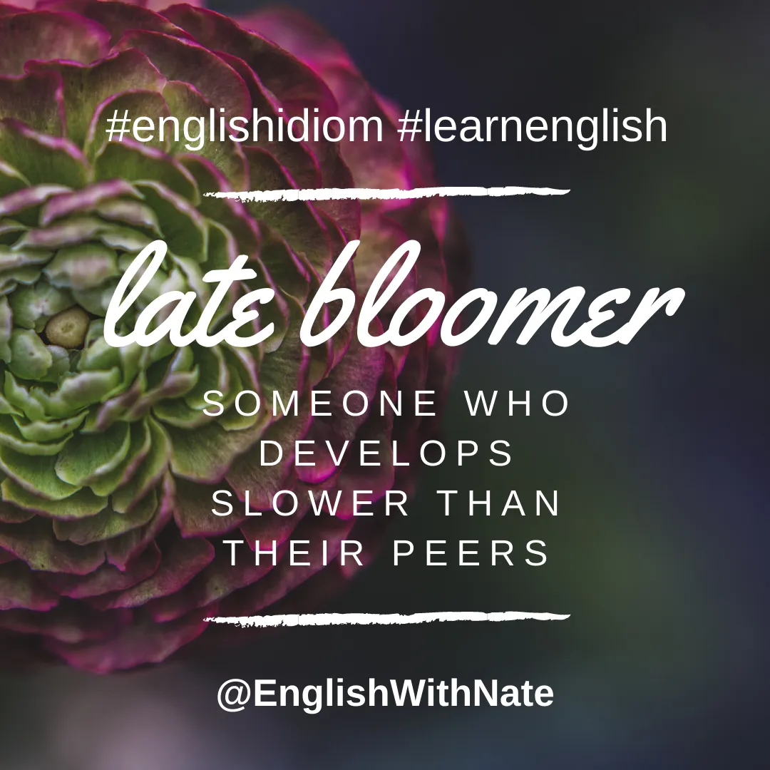 idiom-of-the-week-what-does-late-bloomer-mean-english-idiom