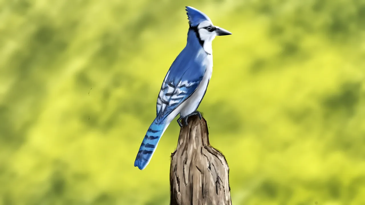 712A5BF0B14C43F08E7E383B78C0518A.png