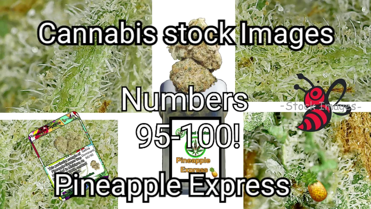 cannabis_stock_images_title.jpg
