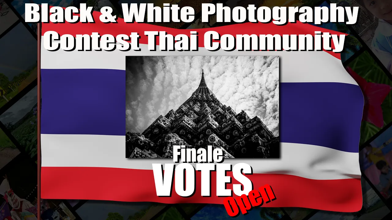 black_and_white_vote_finale.png
