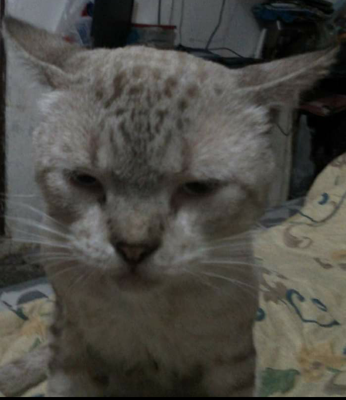 Screenshot_20201220-121633~2.png