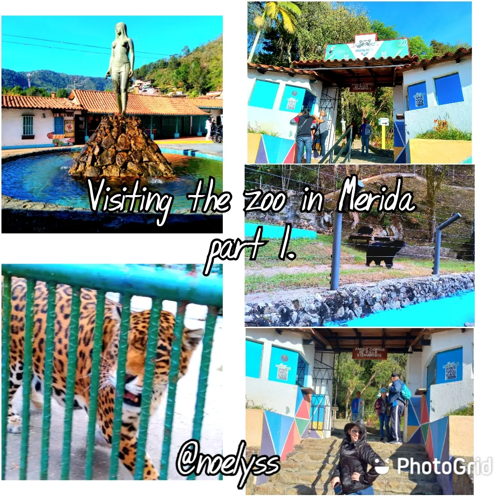 VideoCollagePG_1712332486524.jpg