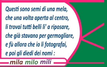 la storia dei 3 semi.JPG