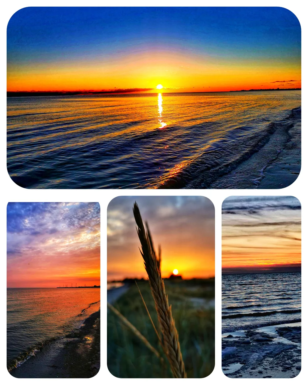 inCollage_20220404_192115747.jpg