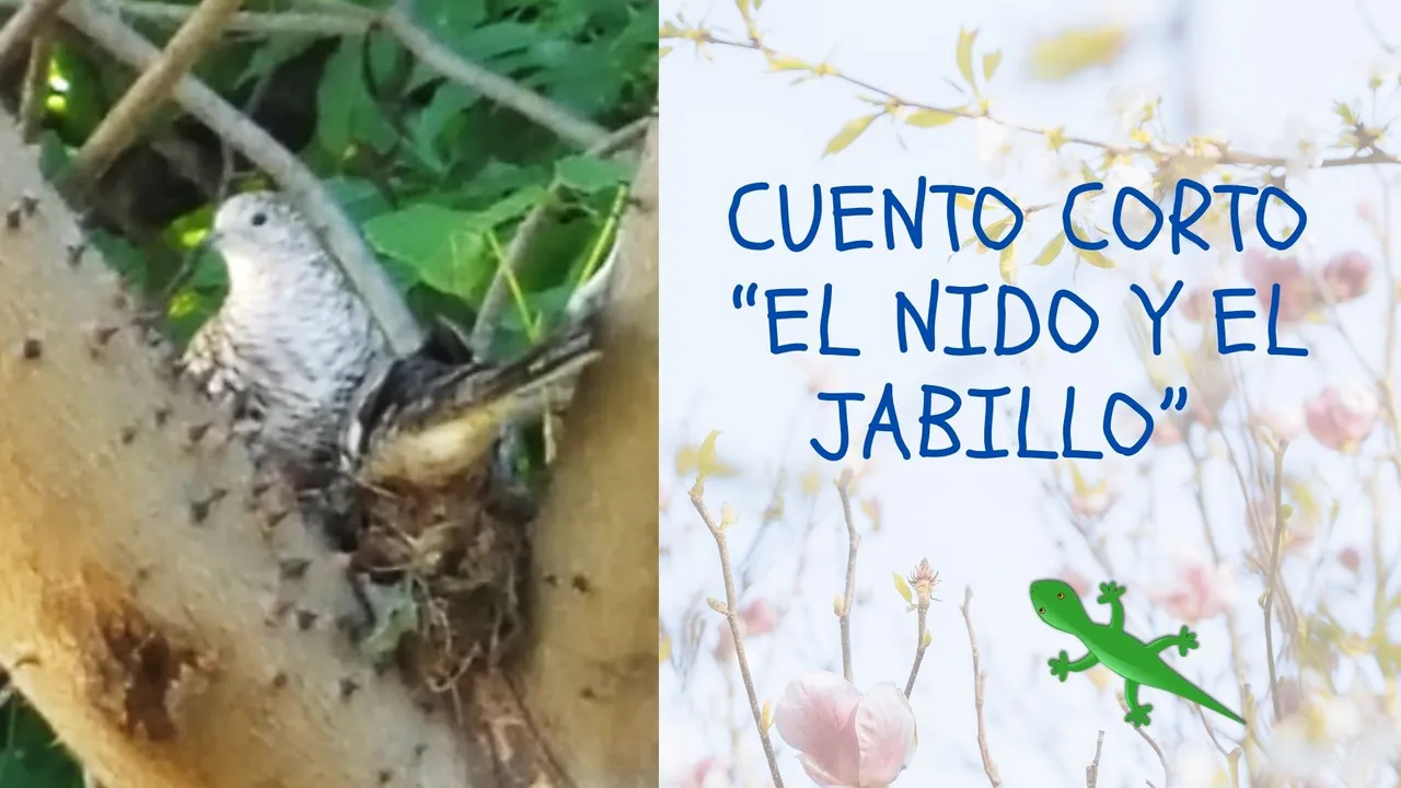 El nido y el jabillo.jpg
