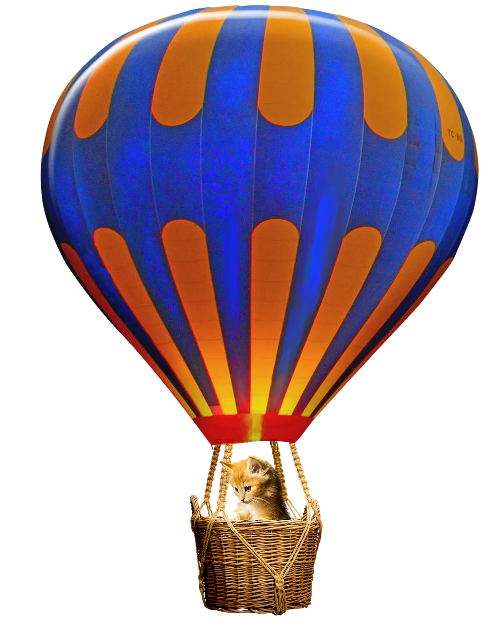 hot-air-balloon-5625985_1280.png