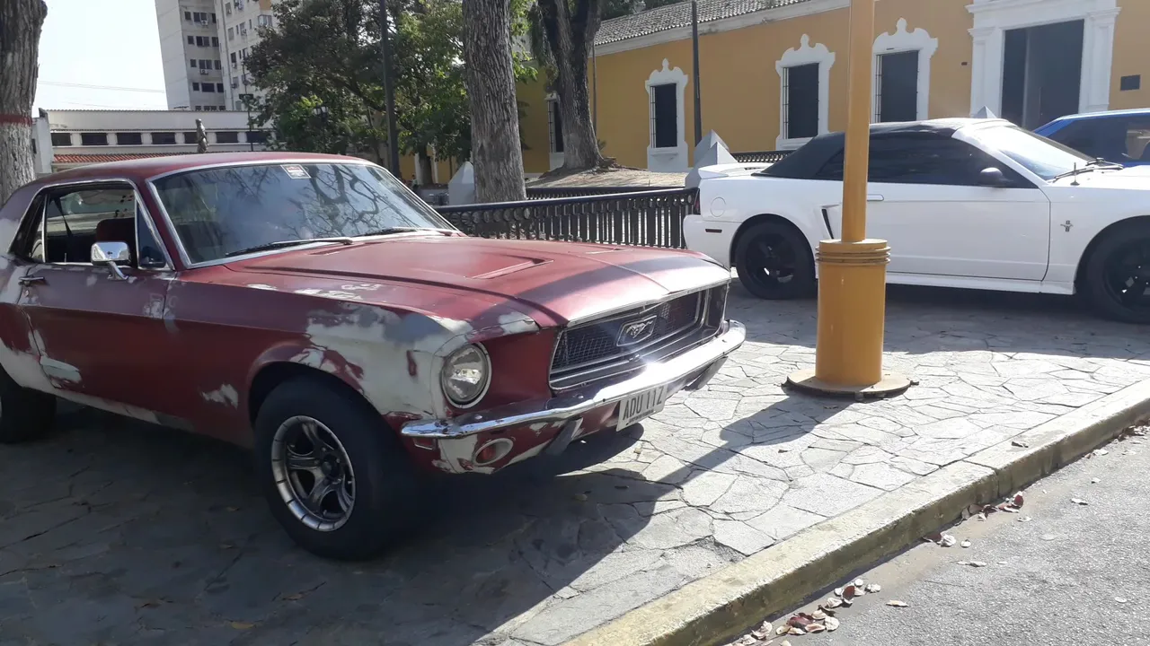 VideoCapture_20200503-191350.jpg