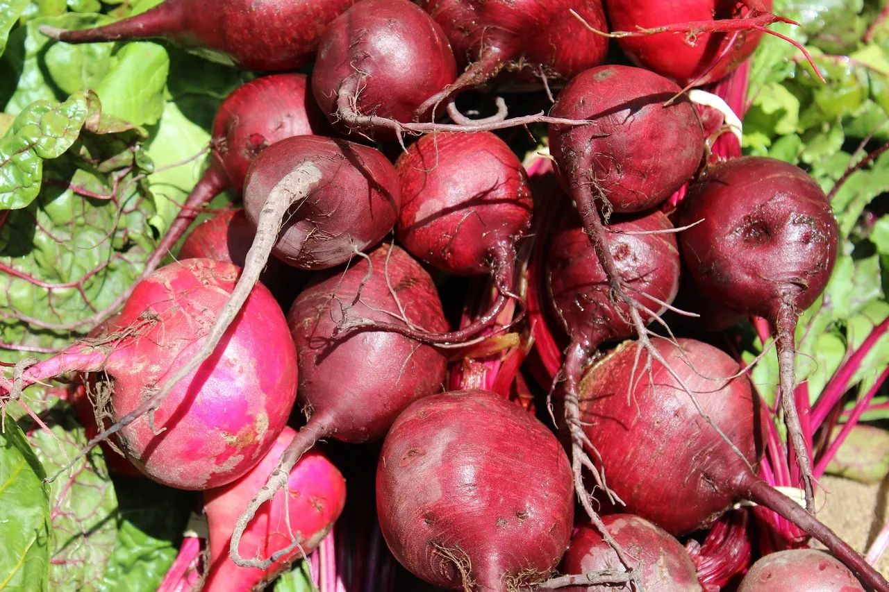 beets-remolacha-1368370_1920.jpg