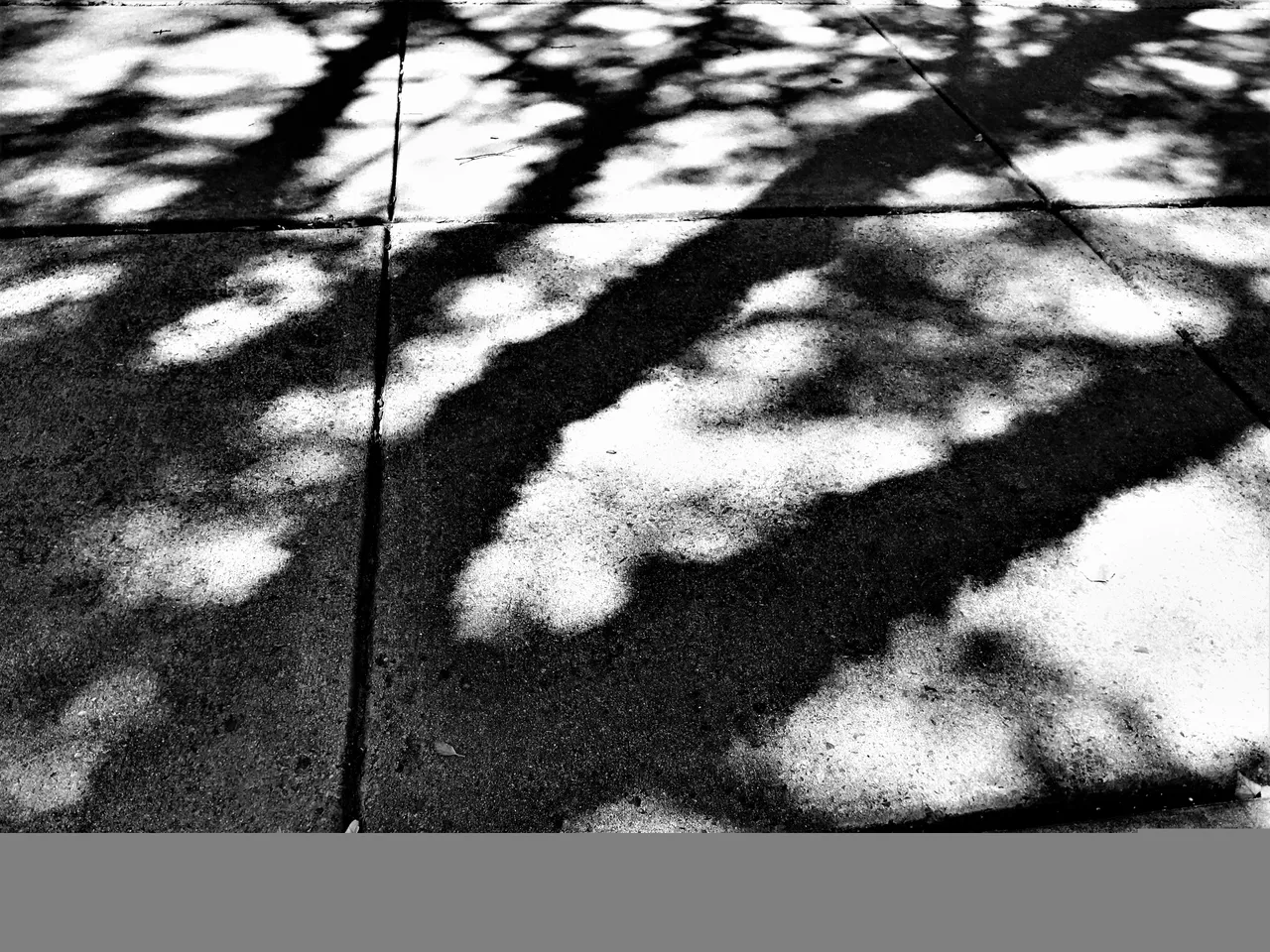 IMG_20210907_120230903_HDR~2.jpg
