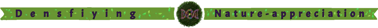 1 sin título_20210223123942.png