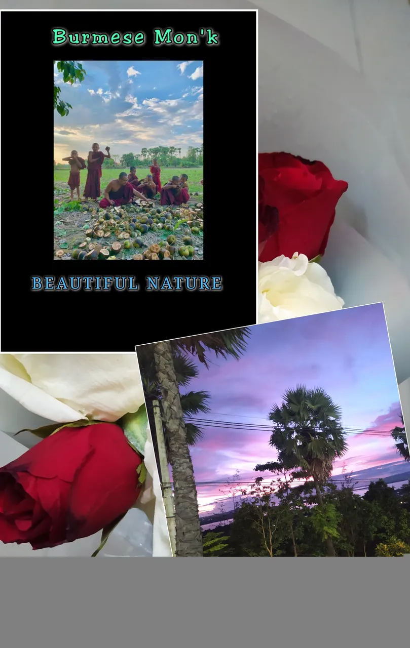 PhotoGrid_Plus_1622282973478.jpg