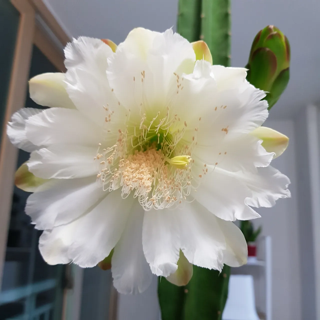 KakaoTalk_20220626_191613497.jpg