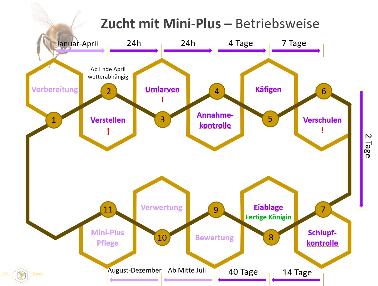 Betriebsweise-Übersicht.PNG