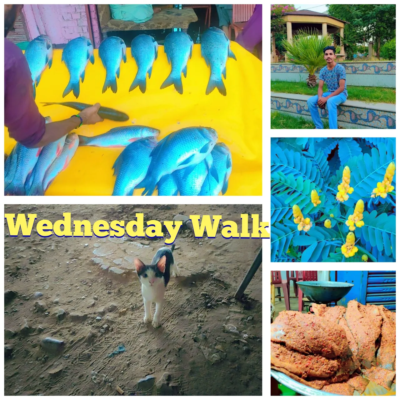 InCollage_20230907_024144924.jpg