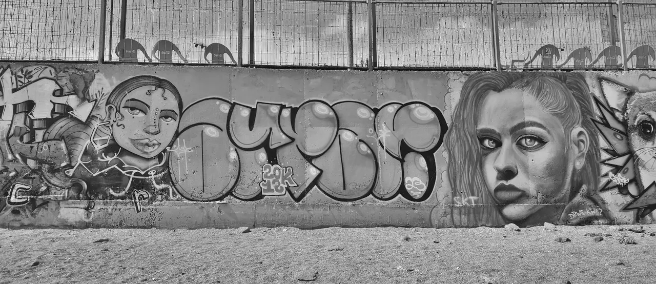 antofagasta-streetart-058-bw.jpg