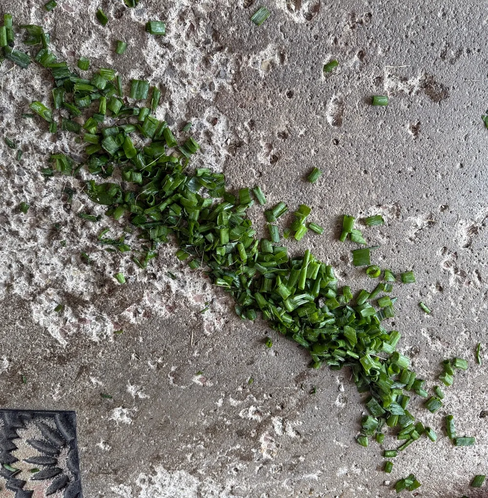 hivegarden-green-onion-floor.jpg