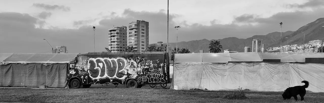 antofagasta-streetart-074-bw.jpg