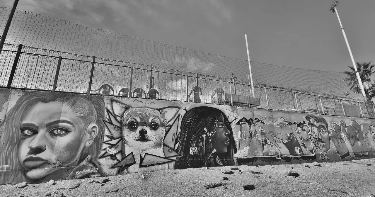 antofagasta-streetart-057-bw.jpg