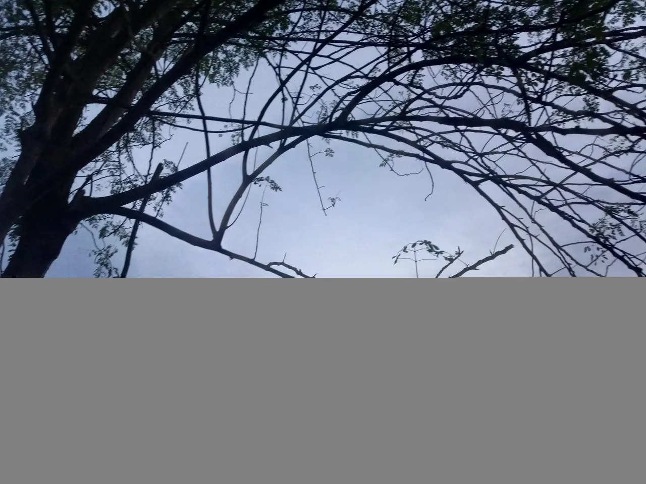 efe joshy - dusk set.jpg