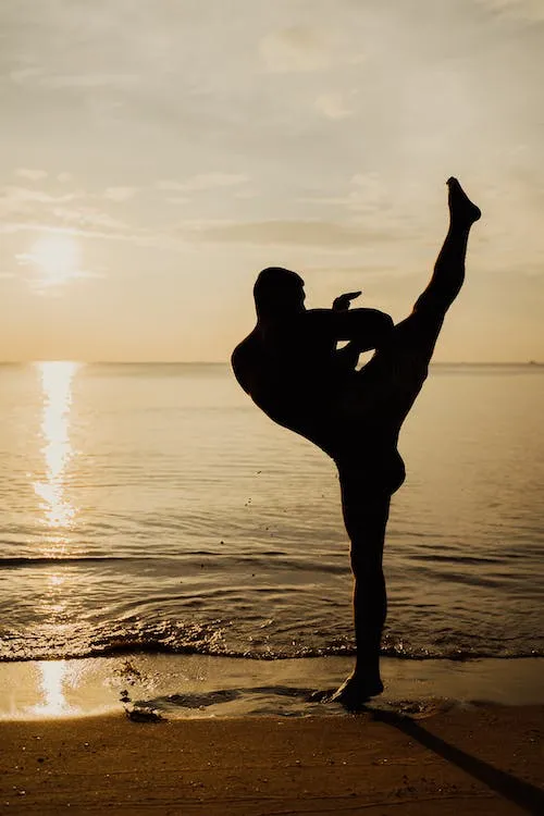 "Silhouette of Man Practicing Kickboxing on the Seashore During Sunset"