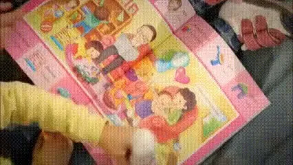 Koala-GIF.mp4