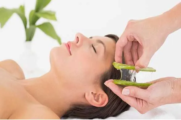 Aloe-vera-for-hair-in-hindi.jpg