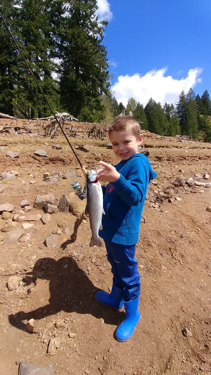 Beautiful Rainbow Trout.png