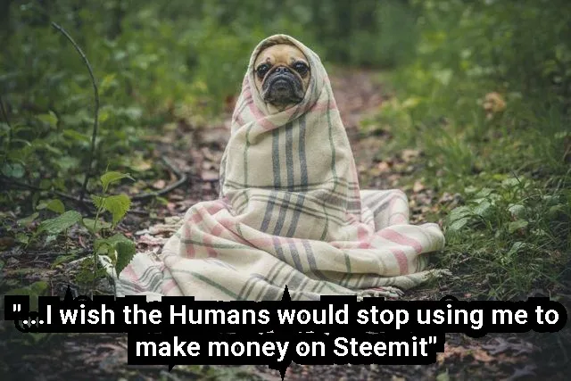 MemeCreator_20170829_173004.jpg