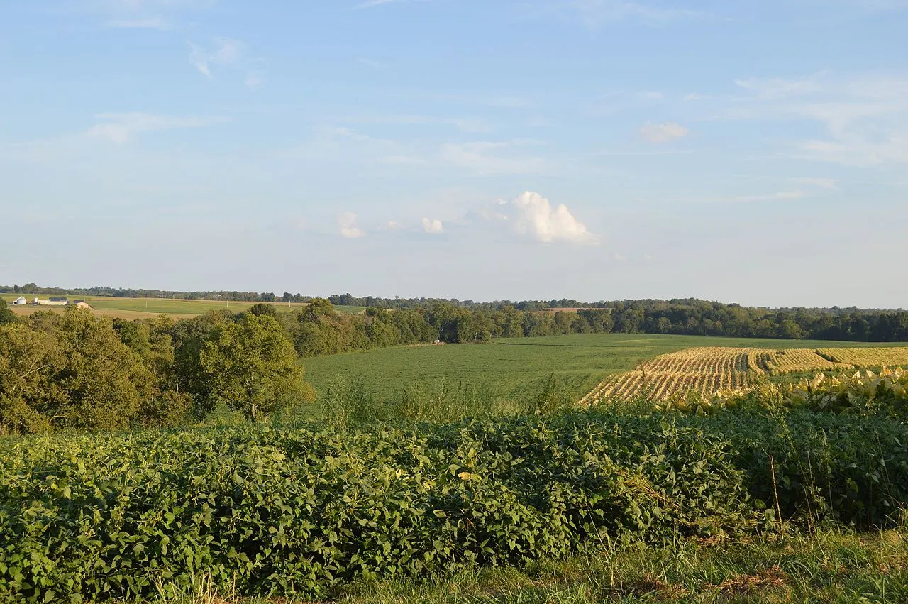 KY1893_tobacco_and_soybeans.jpg