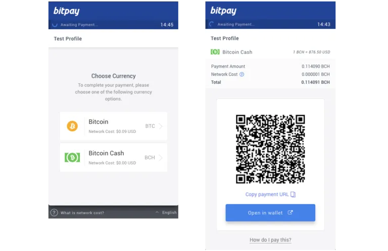 bitpay-bitcoin-cash-768x497.png