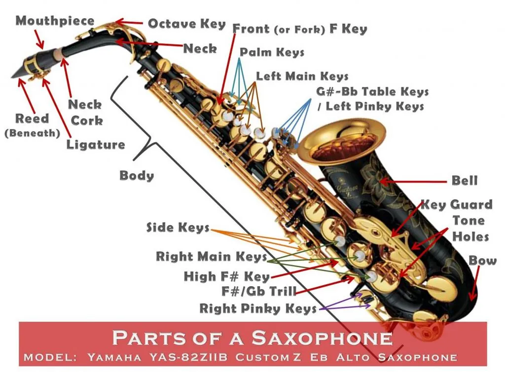 Parts-of-Saxophone-1024x755.jpg