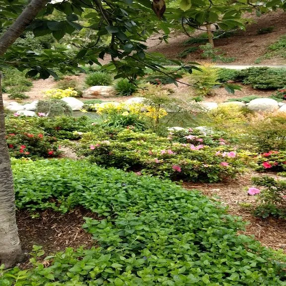 Japanese Garden flowers.jpg