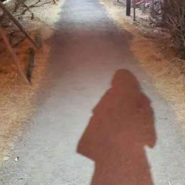 그림자.jpg